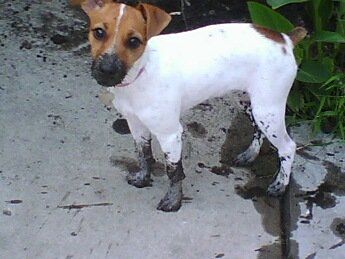 Kaylacs profile photo