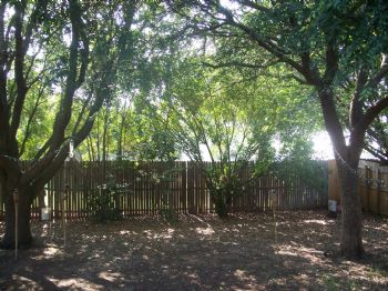 burban83 profile photo