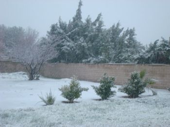 moniqueweger profile photo