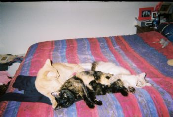 fooly56 profile photo