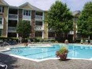 bisoujuly profile photo