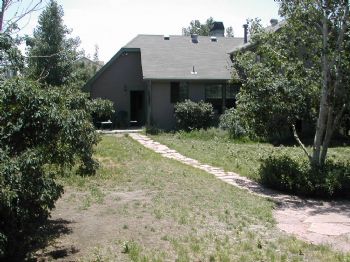 carholden profile photo