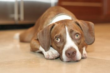 ggandd profile photo