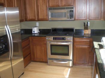 spyderpigg profile photo