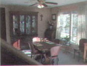 neekola profile photo