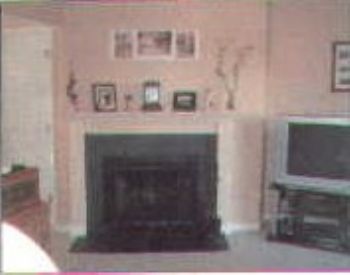 neekola profile photo