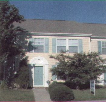 neekola profile photo