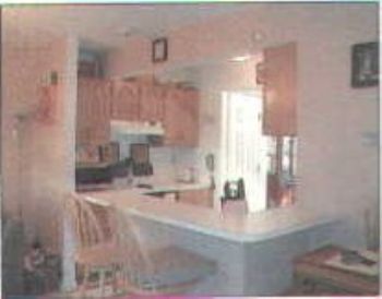 neekola profile photo