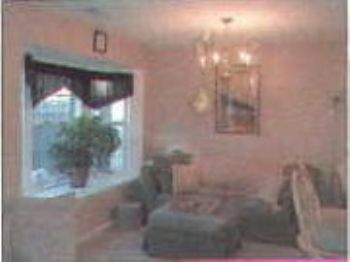 neekola profile photo