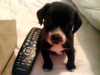 kelliad26 profile photo