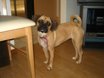 ktagle profile photo