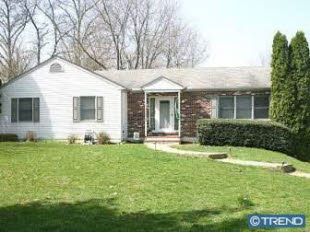 lizannstew profile photo