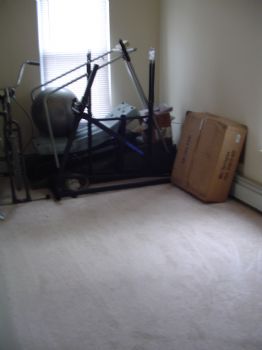 denise_lula profile photo