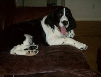 Samantha2 profile photo