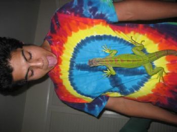 wrivas profile photo