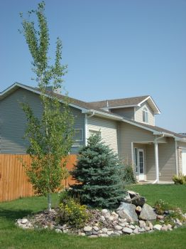 chowdphilips profile photo