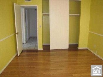 wirth102 profile photo