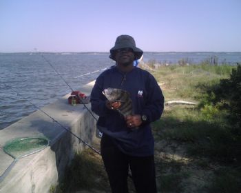 Dravious profile photo