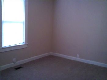 terp42 profile photo