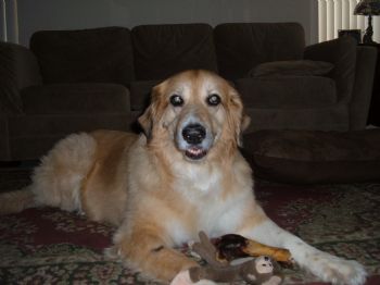 trudylea profile photo