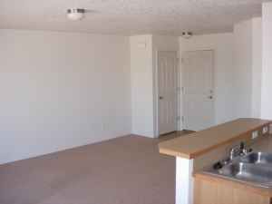 BubblegumV profile photo