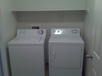 BubblegumV profile photo