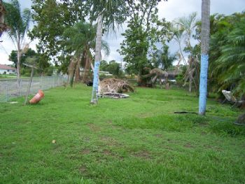 kenyoun profile photo