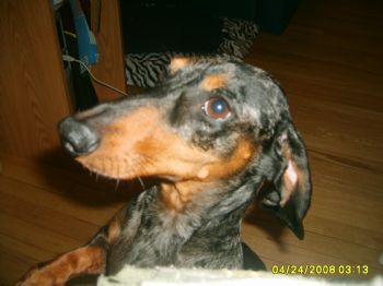 maryamuro profile photo