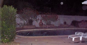 AnniArizona profile photo