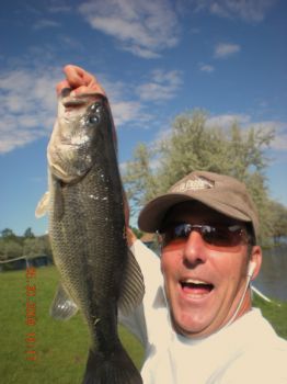 mjsurf profile photo