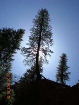 mjsurf profile photo