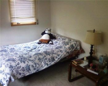 diaci13 profile photo