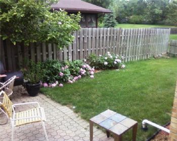 diaci13 profile photo