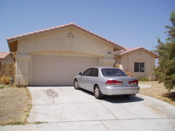 MING LU profile photo