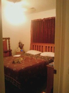 smiles2009 profile photo