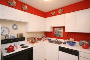 livin2board profile photo