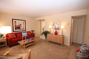 livin2board profile photo