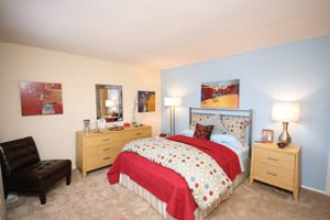 livin2board profile photo