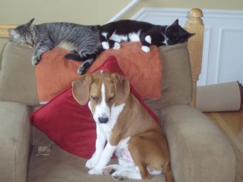 sej9867 profile photo