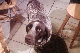 kristentarr profile photo