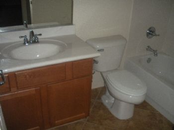 bellaorchid profile photo