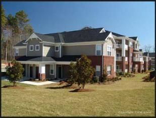 ltdanp21 profile photo