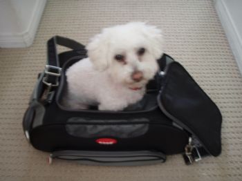 ltdanp21 profile photo