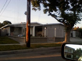 kindal profile photo