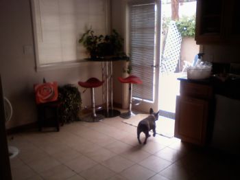 kindal profile photo