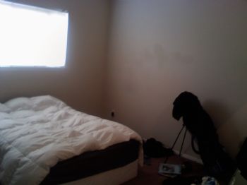 kindal profile photo