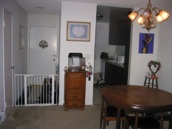 knewiger profile photo