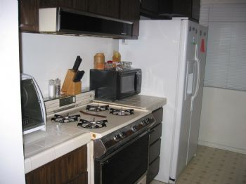 knewiger profile photo