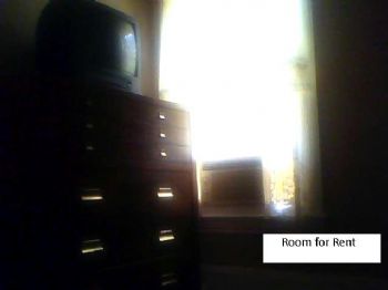 NexisGlobal profile photo