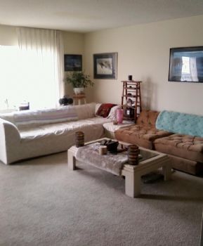 kacey686 profile photo